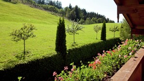 Ein hölzerner Balkon mit Blick auf ein grünes Feld und Bäume.
