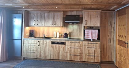 Apartment in Silbertal Near Ski Lift