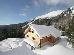 Exterior - Luxurious Holiday Home in Turracherhöhe Near Ski Area (Reichenau)