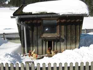 Apartment | Garden - Apartment in Pettneu Near St. Anton Ski Slopes (Pettneu am Arlberg)