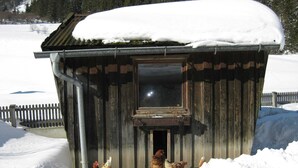 Une structure en bois avec une fenêtre, entourée de neige, et des poulets à l’extérieur.