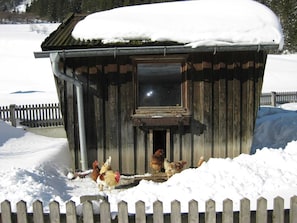 Apartment | Garden - Apartment in Pettneu Near St. Anton Ski Slopes (Pettneu am Arlberg)