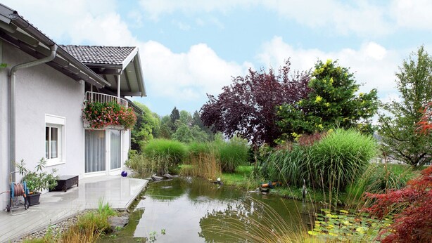 A house with a garden featuring a pond, various plants, and a small deck.