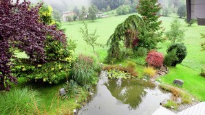 A garden with a pond, various plants, and a wooden deck.