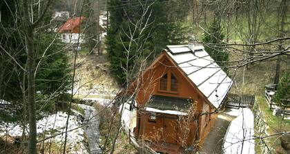Cozy Holiday Home in Carinthia near Ski Area