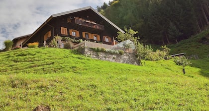 Cozy Apartment in Schruns Vorarlberg near Ski Area Montafon