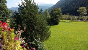 A lush green field with a coniferous tree in the foreground and a mountain in the background. - Chalet in Einach Near Ski Slopes (Stadl-Predlitz)