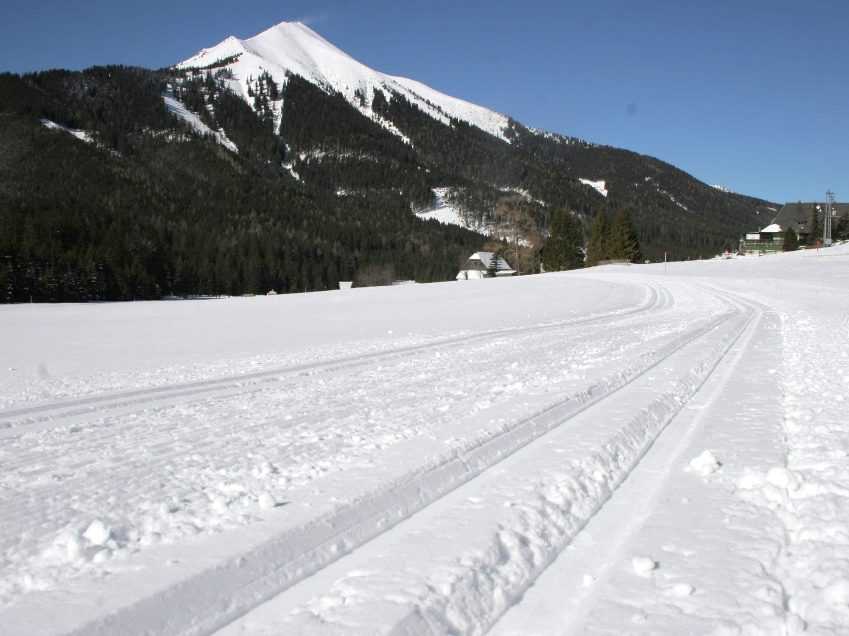 Eine schneebedeckte Straße mit Reifenspuren, die zu einem Berg führen.