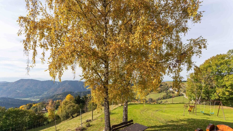 Chalet in Eberstein Near Saualpe Ski Area
