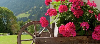 Cozy Apartment in Montafon near Ski Area