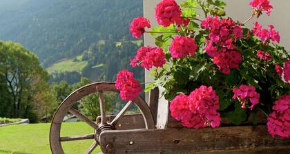 Cozy Apartment in Montafon near Ski Area