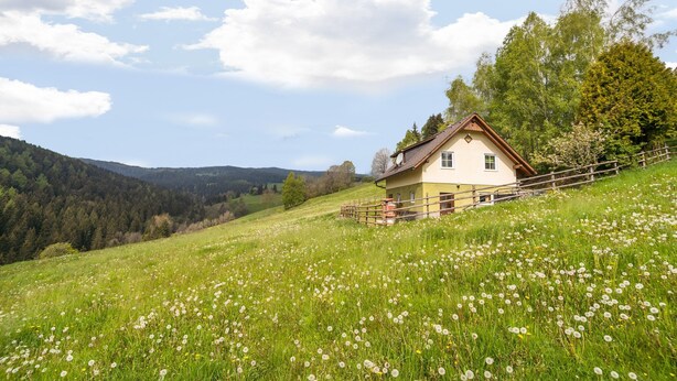 A house on a hillside with a wooden fence, surrounded by a meadow with dandelions. - Chalet in Sankt Andra Near Koralpe Ski Area (Sankt Andra)