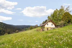 A house on a hillside with a wooden fence, surrounded by a meadow with dandelions. - Chalet in Sankt Andra Near Koralpe Ski Area (Sankt Andra)