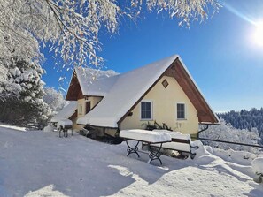 House | Exterior - Chalet in Sankt Andra Near Koralpe Ski Area (Sankt Andra)