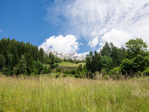 A mountainous landscape with a clear sky, lush greenery, and a small cabin.