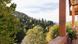 Ein hölzerner Balkon mit Blick auf einen bewaldeten Hügelhang.