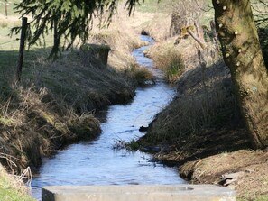 House | View from property