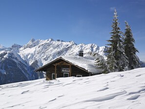 Exterior - Sunlit Apartment in Gortipohl near Montafon Ski Area (Sankt Gallenkirch)