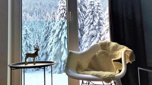 Leilighet | Utsikt fra overnattingsstedet