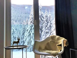 Apartment | View from property - Mountain View Apartment in Bad Kleinkirchheim near Ski Area (Reichenau)
