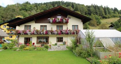 Gorgeous Apartment in Carinthia Austria With Garden
