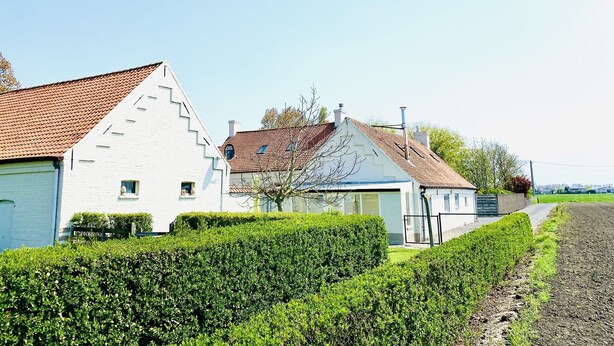 Billede uden beskrivelse, 1 af 31, knap
