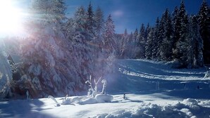 Exterior - Private Chalet With Sauna in Afritz am See Carinthia (Treffen)