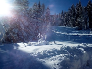 Exterior - Private Chalet With Sauna in Afritz am See Carinthia (Treffen)
