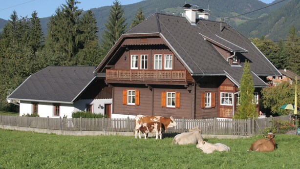 Unclassified image, 1 of 40, button - Scenic Holiday Home in Kleblach-Lind near Fugo Park on Lake (Steinfeld)