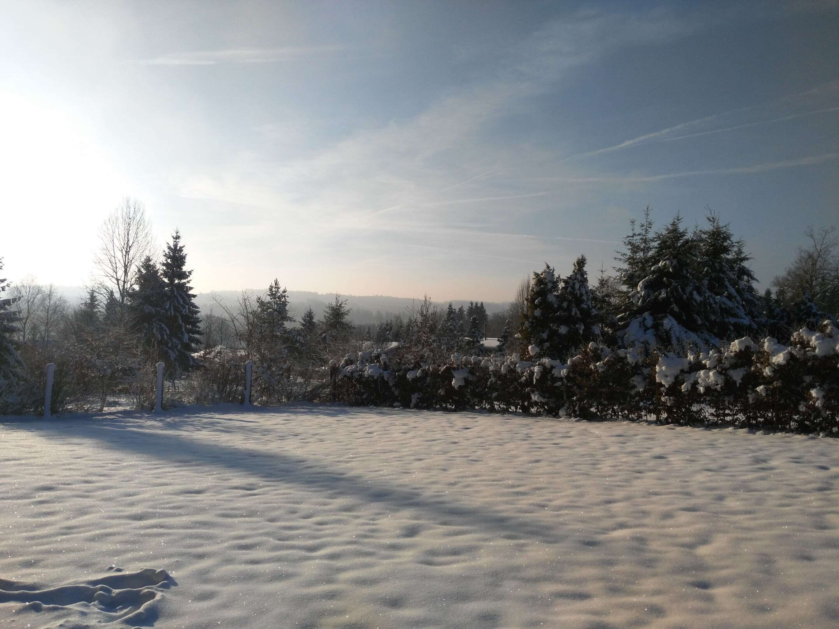 A snowy landscape with a clear sky and trees.