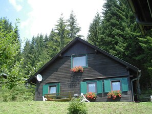 Unclassified image, 2 of 18, button - Comfortable Holiday Home With Sauna in Sankt Stefan (Wolfsberg)