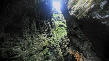 Ngoại thất