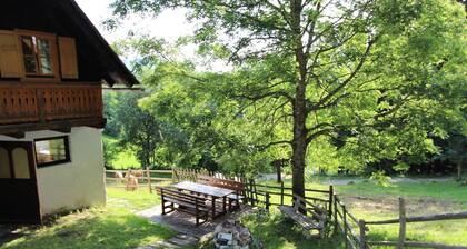 Spacious Chalet with Sauna near Ski Area in Wolfsberg