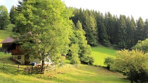 A rural cabin with a wooden deck, surrounded by lush greenery and trees.