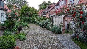 A cobblestone pathway leading through a garden with blooming roses and lush greenery. - Apartments gatehouse - old town (Lüneburg)