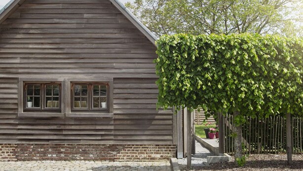 Exterior - Beautiful Holiday Home in Peer on a Farm (Peer)