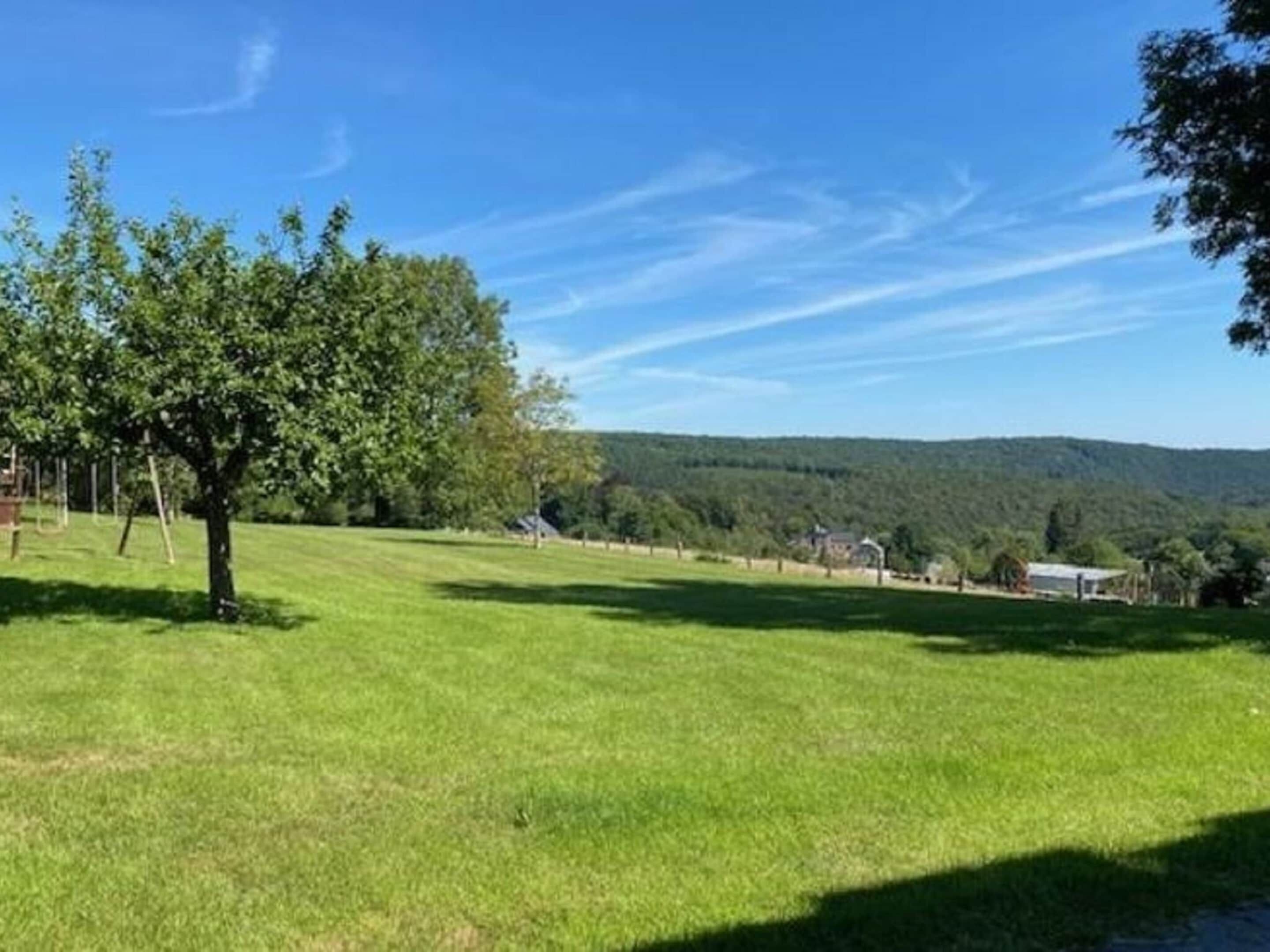 A grassy field with a single tree and a distant view of a house and hills.