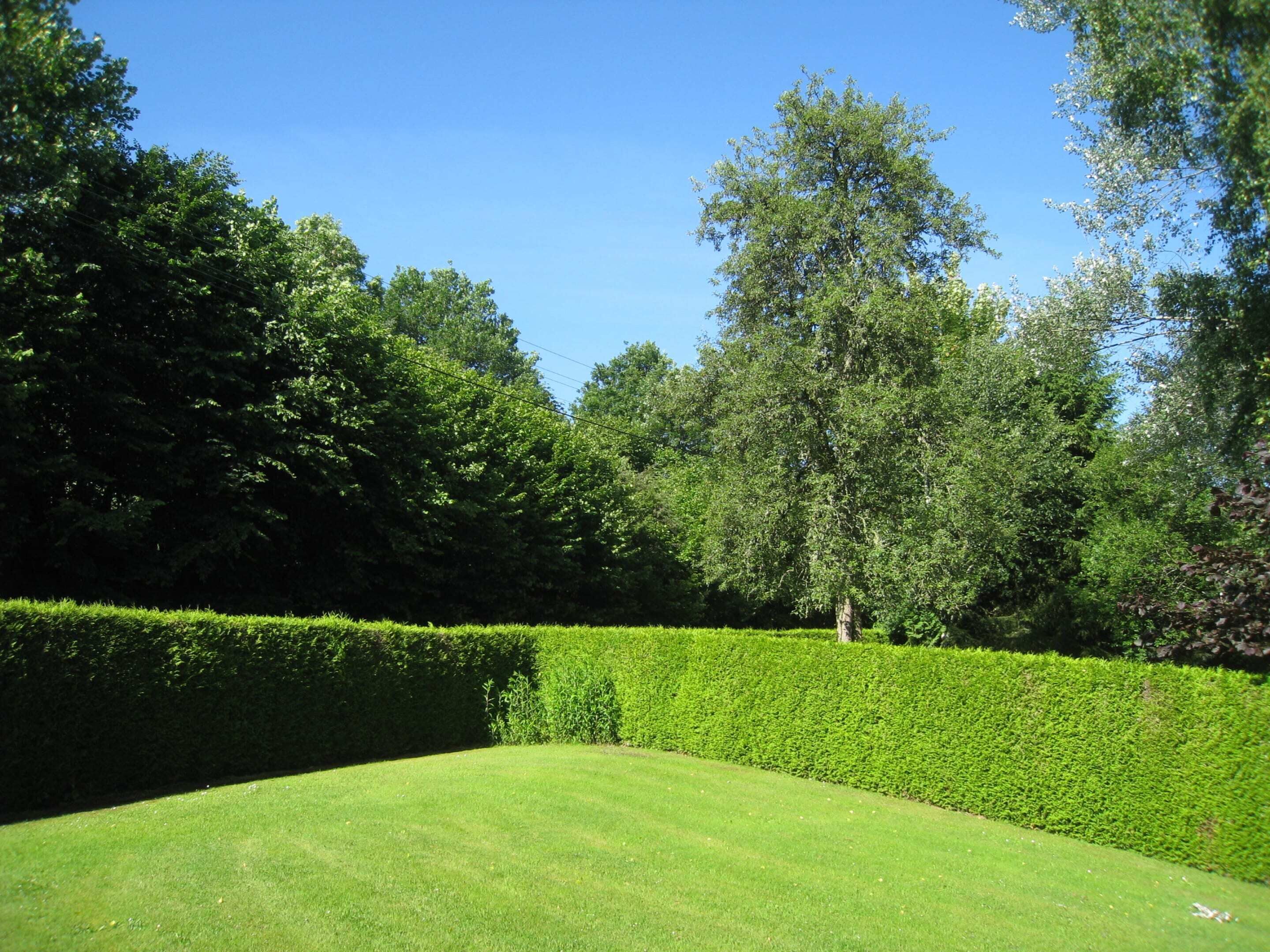 Maison | Jardin