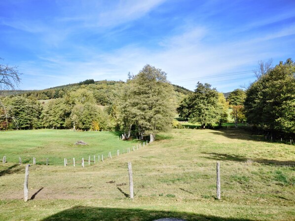 A grassy field with trees and a fence. - Holiday Home in Vielsalm (Vielsalm)