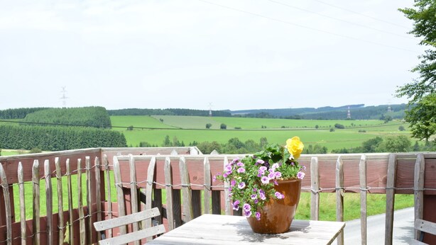 A wooden deck with a table and chairs, a flower pot with flowers, and a view of green fields and a distant tower.
