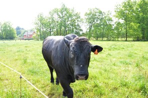 Hus | Innvendig detalj