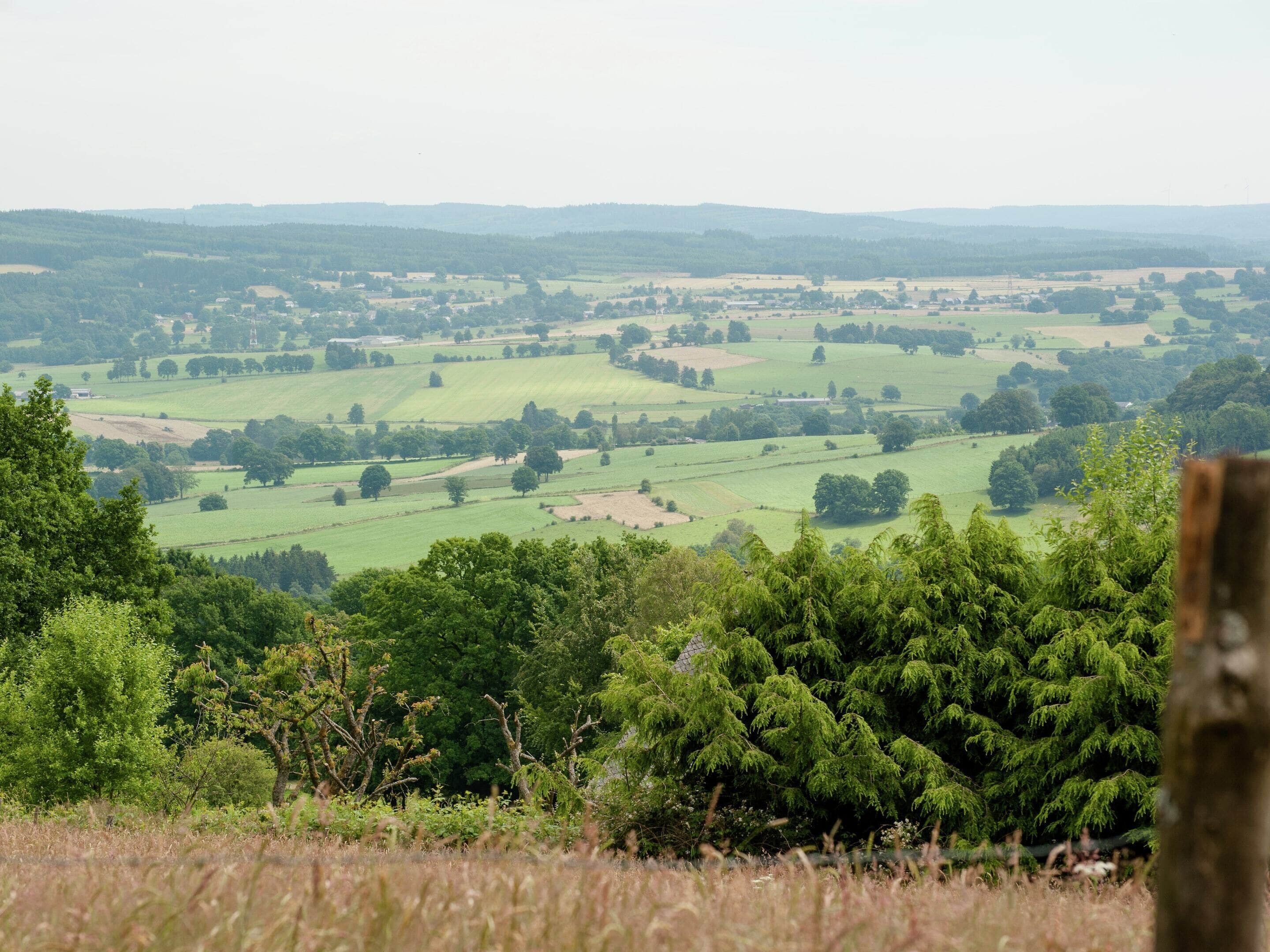 A rural landscape with fields, trees, and a distant view of hills.