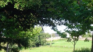 Paisaje rural con un campo cubierto de hierba, algunos caballos y una construcción de piedra.