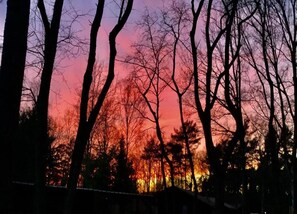 House | View from property