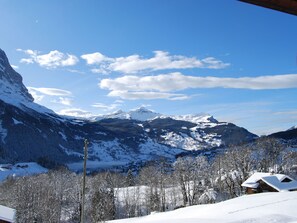 Exterior - Mountain Chalet With Garden & Parking in Grindelwald (Grindelwald)