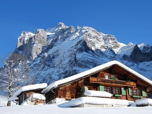 Exterior - Mountain Chalet With Garden & Parking in Grindelwald (Grindelwald)