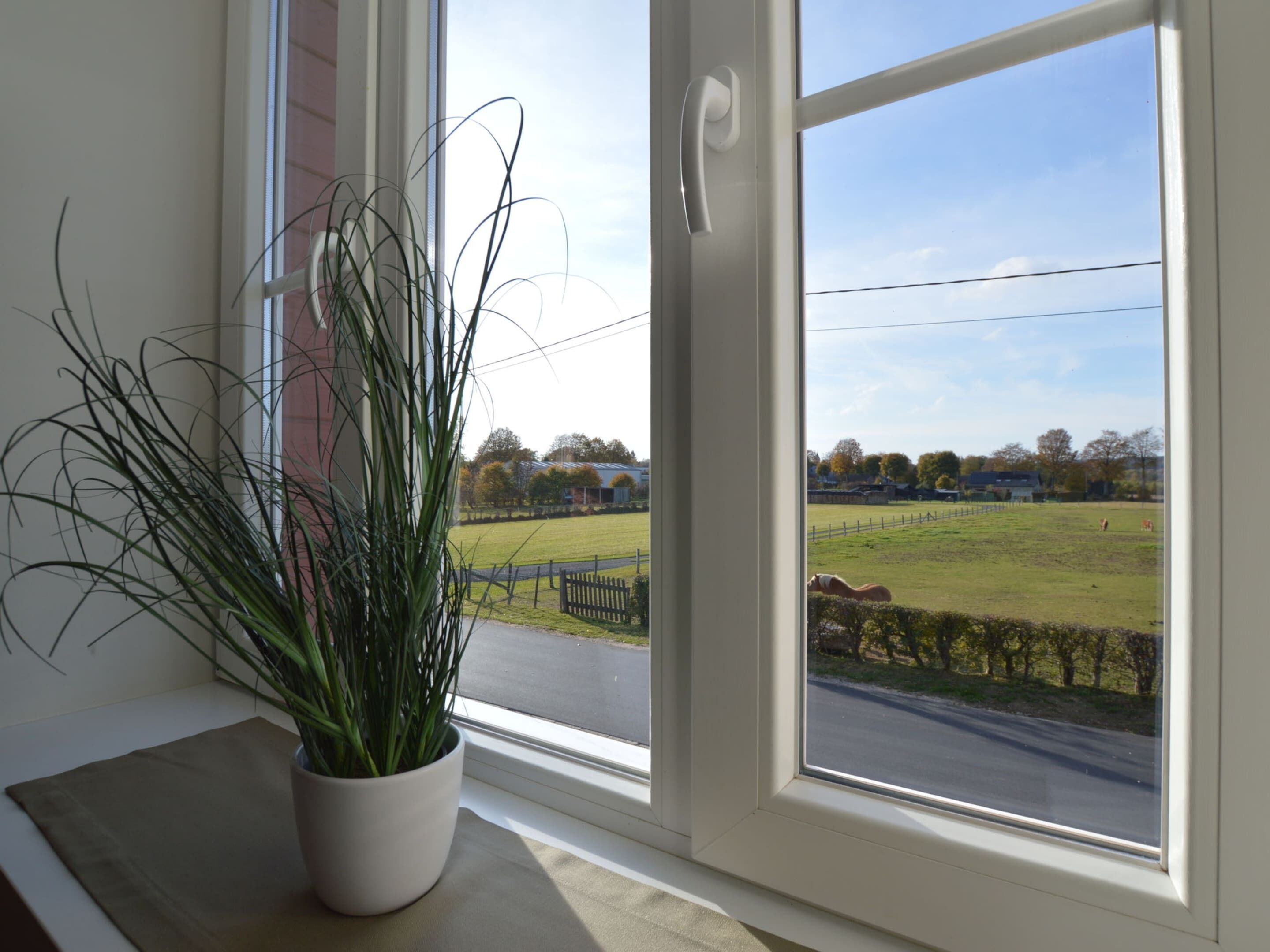 A window with a view of a rural landscape, a potted plant on a windowsill, and a white door.