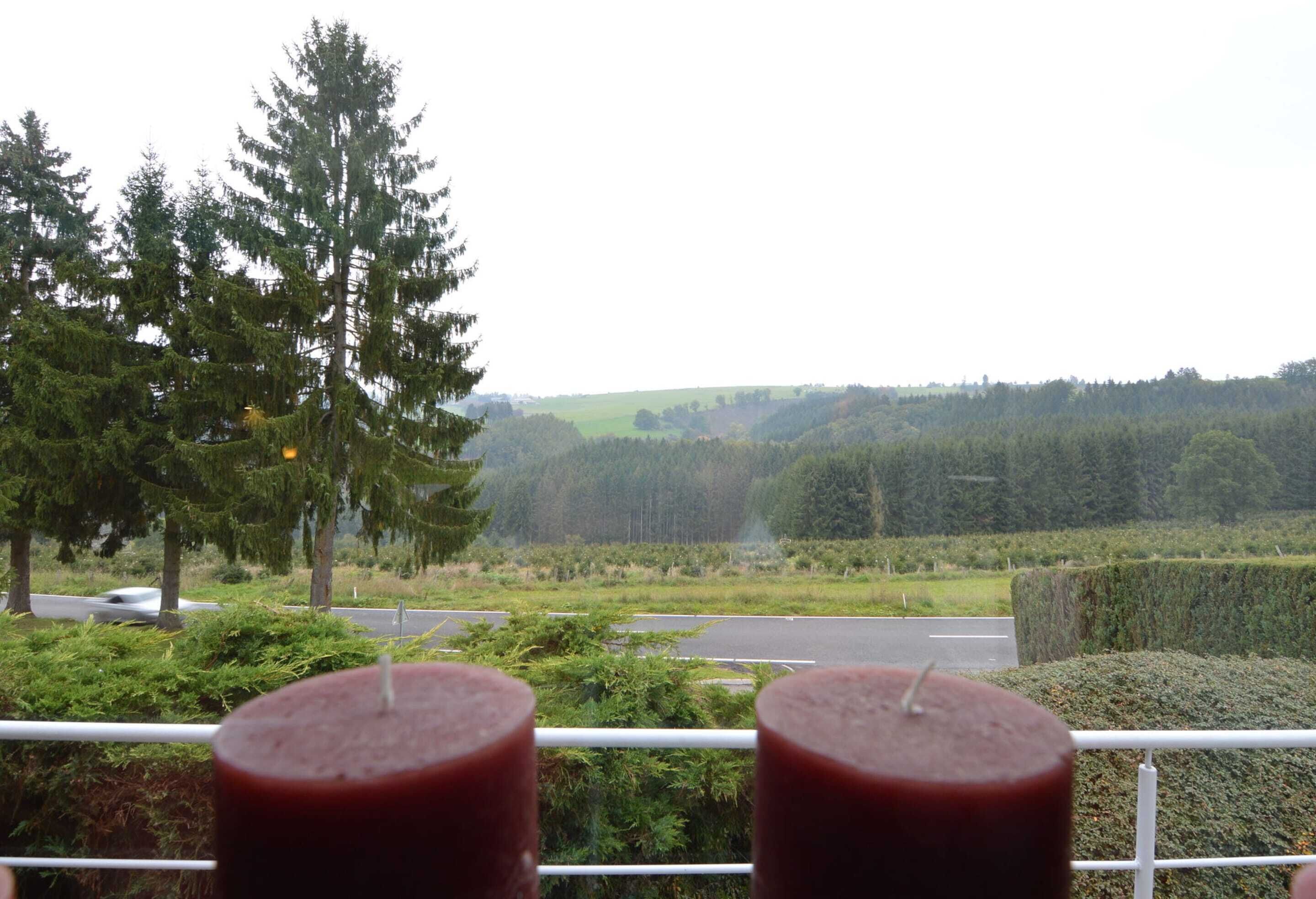 A view from a balcony with two candles in the foreground, a road, and a forested landscape in the background.