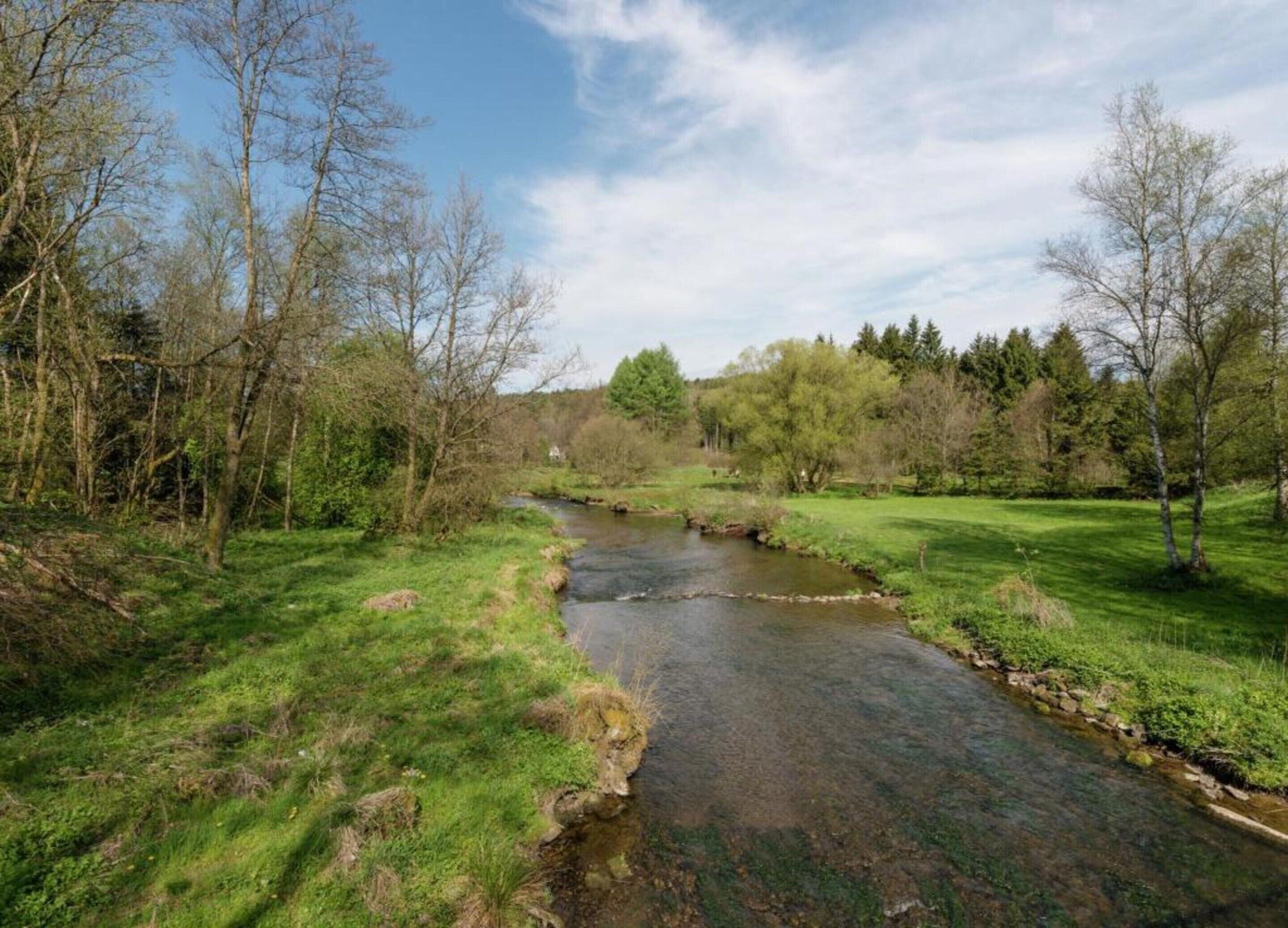 Ein Fluss, der durch eine grüne Wiese fließt, gesäumt von Bäumen.