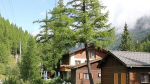 A wooden cabin with a sloped roof, surrounded by lush greenery and a clear sky. - Chalet in Valais Near Ski Lift & Saas Valley (Saas-Balen)